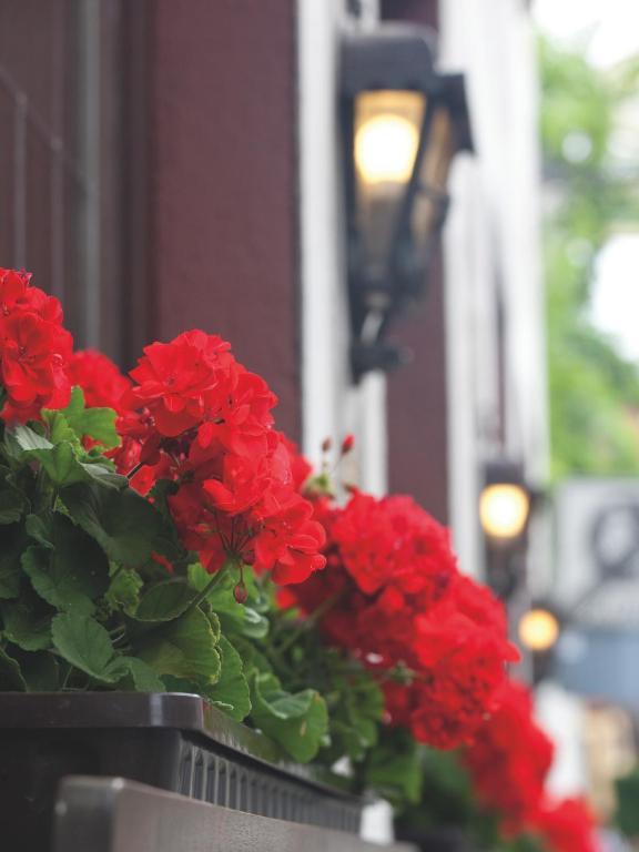 Hotel Felsenkeller Rüdesheim am Rhein Kültér fotó