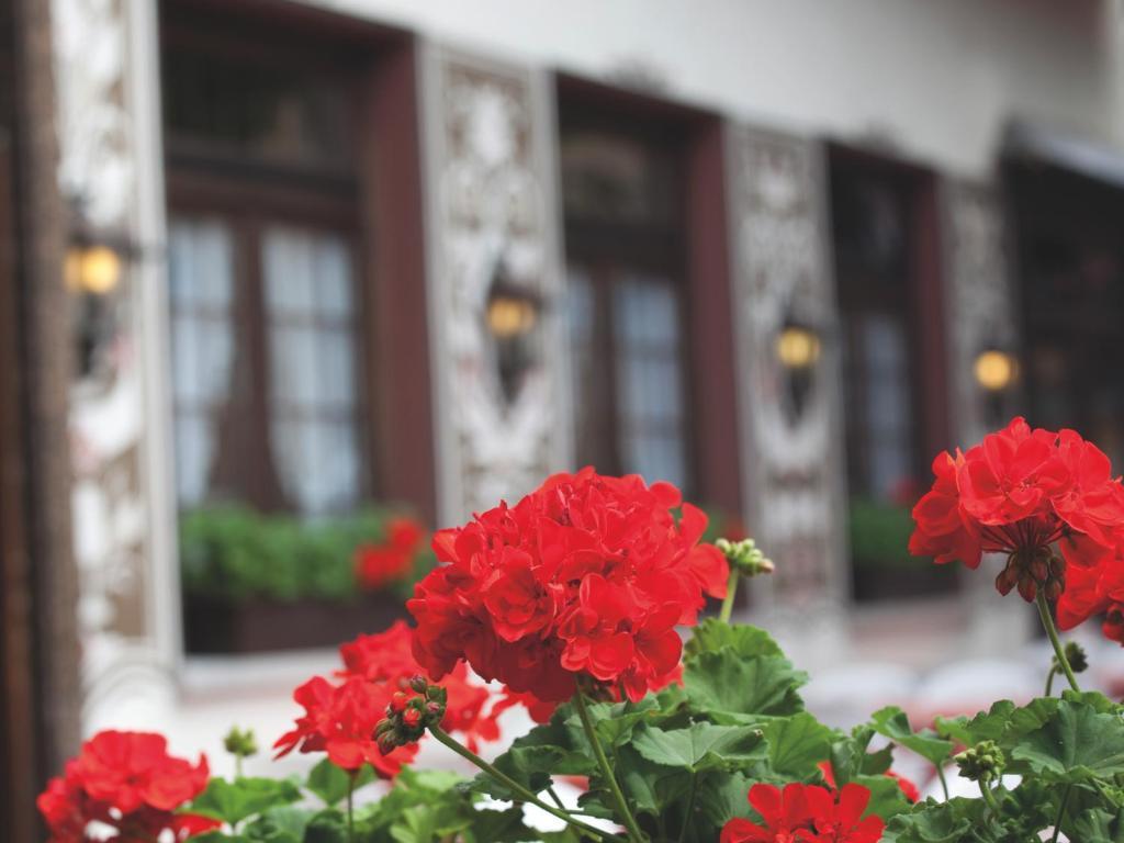 Hotel Felsenkeller Rüdesheim am Rhein Kültér fotó