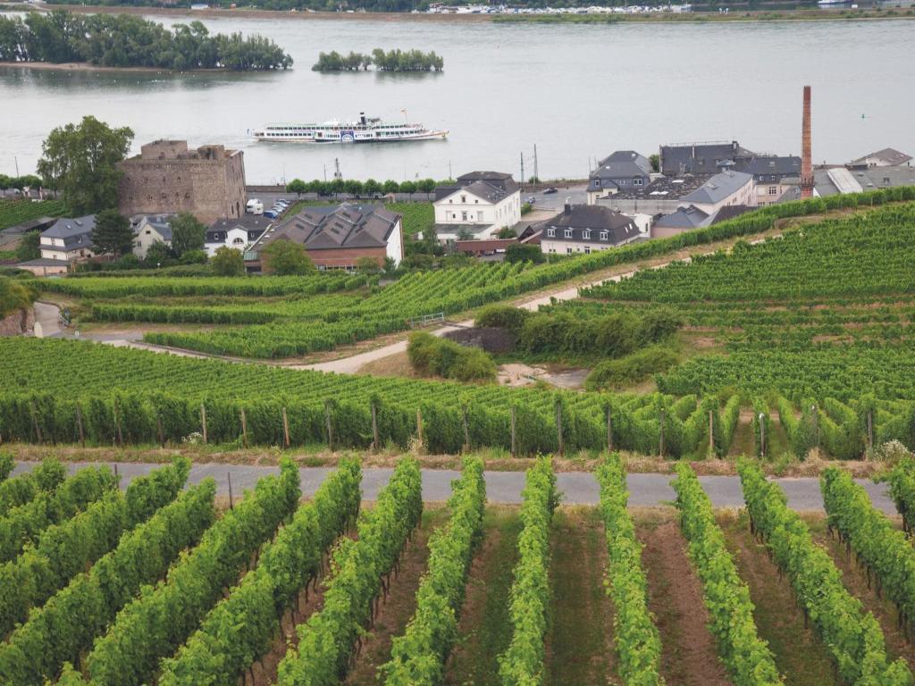Hotel Felsenkeller Rüdesheim am Rhein Kültér fotó
