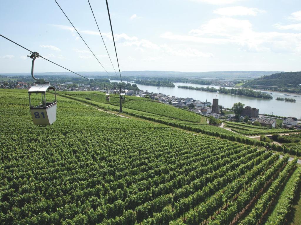 Hotel Felsenkeller Rüdesheim am Rhein Kültér fotó