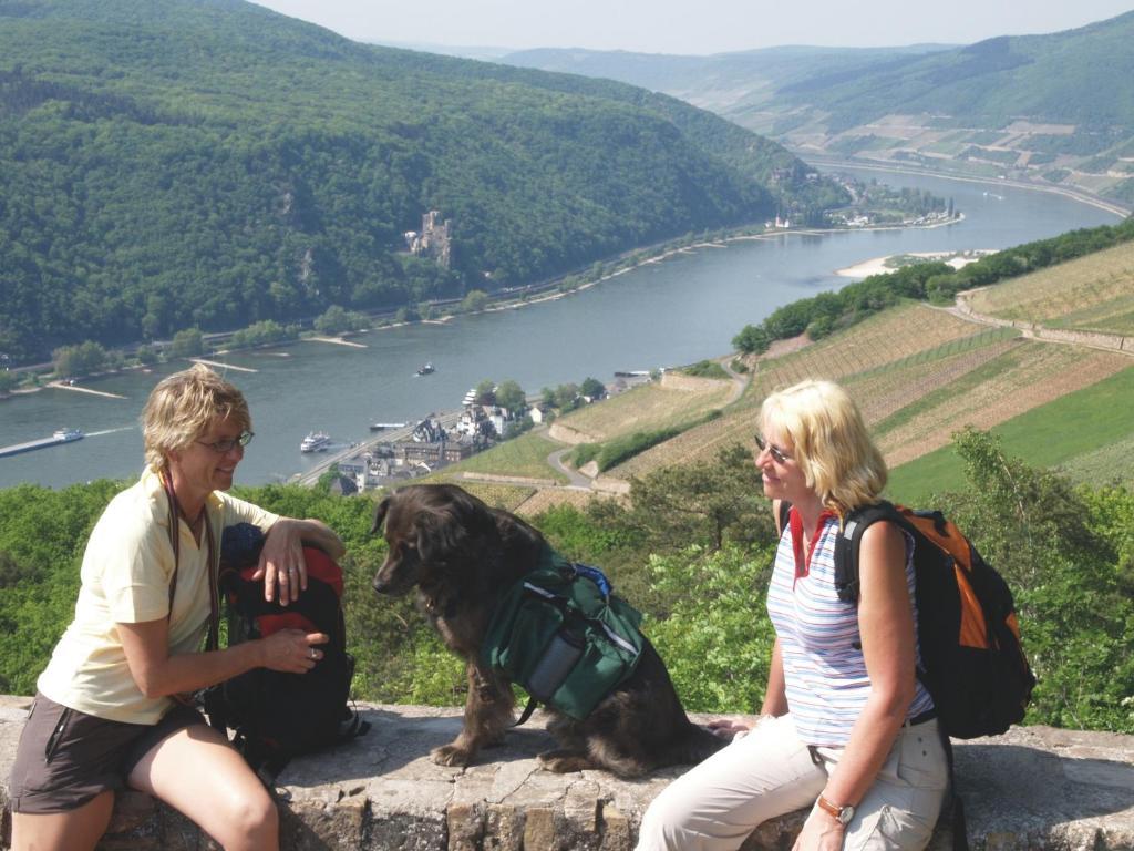 Hotel Felsenkeller Rüdesheim am Rhein Kültér fotó