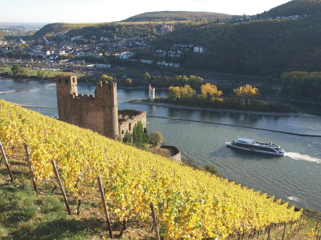 Hotel Felsenkeller Rüdesheim am Rhein Kültér fotó